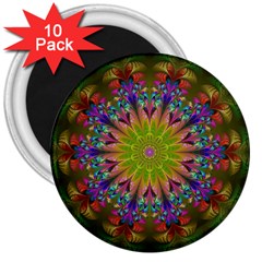 Fractal Abstract Background Pattern 3  Magnets (10 pack) 