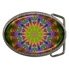 Fractal Abstract Background Pattern Belt Buckles