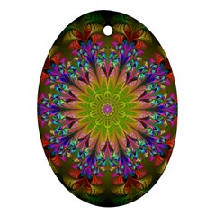 Fractal Abstract Background Pattern Oval Ornament (Two Sides)