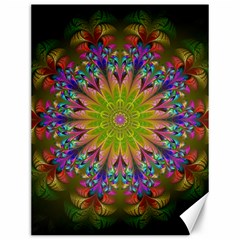 Fractal Abstract Background Pattern Canvas 12  x 16 