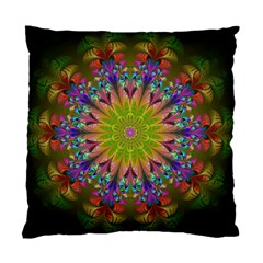 Fractal Abstract Background Pattern Standard Cushion Case (Two Sides)