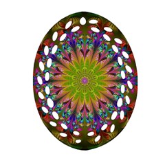 Fractal Abstract Background Pattern Ornament (Oval Filigree)