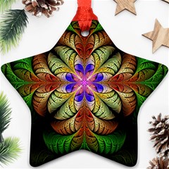 Fractal Abstract Flower Floral Star Ornament (two Sides) by Wegoenart