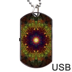 Art Abstract Fractal Pattern Dog Tag Usb Flash (two Sides) by Wegoenart