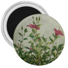 Botanical Vintage Style Motif Artwork 2 3  Magnets by dflcprintsclothing