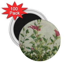 Botanical Vintage Style Motif Artwork 2 2 25  Magnets (100 Pack)  by dflcprintsclothing