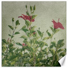 Botanical Vintage Style Motif Artwork 2 Canvas 12  X 12 