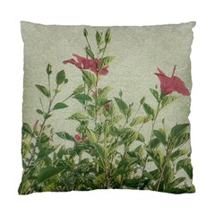 Botanical Vintage Style Motif Artwork 2 Standard Cushion Case (one Side) by dflcprintsclothing