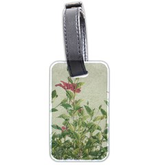 Botanical Vintage Style Motif Artwork 2 Luggage Tag (two Sides)