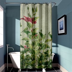 Botanical Vintage Style Motif Artwork 2 Shower Curtain 36  X 72  (stall)  by dflcprintsclothing