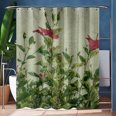 Botanical Vintage Style Motif Artwork 2 Shower Curtain 60  X 72  (medium)  by dflcprintsclothing