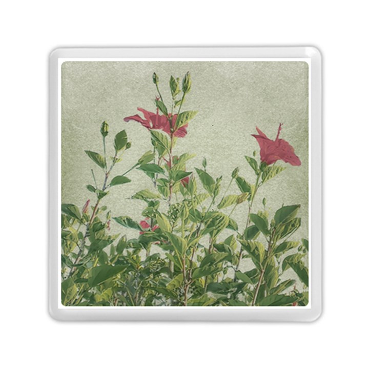 Botanical Vintage Style Motif Artwork 2 Memory Card Reader (Square)