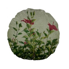 Botanical Vintage Style Motif Artwork 2 Standard 15  Premium Flano Round Cushions by dflcprintsclothing