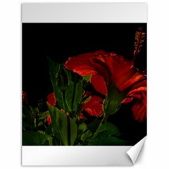 Dark Floral Photo Illustration Canvas 12  X 16  by dflcprintsclothing