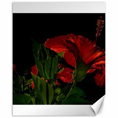 Dark Floral Photo Illustration Canvas 16  X 20 