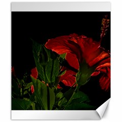 Dark Floral Photo Illustration Canvas 20  X 24 