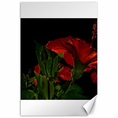 Dark Floral Photo Illustration Canvas 20  X 30 