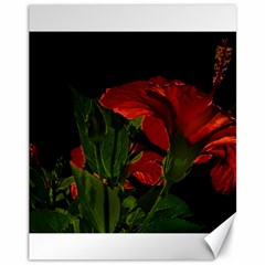 Dark Floral Photo Illustration Canvas 11  X 14  by dflcprintsclothing