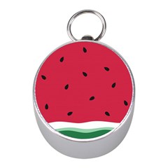 Minimalist Summer Watermelon Wallpaper Mini Silver Compasses