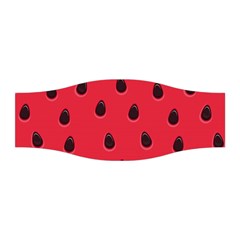 Seamless Watermelon Surface Texture Stretchable Headband by Nexatart