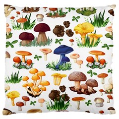 Mushroom Seamless Pattern Standard Flano Cushion Case (two Sides) by Nexatart