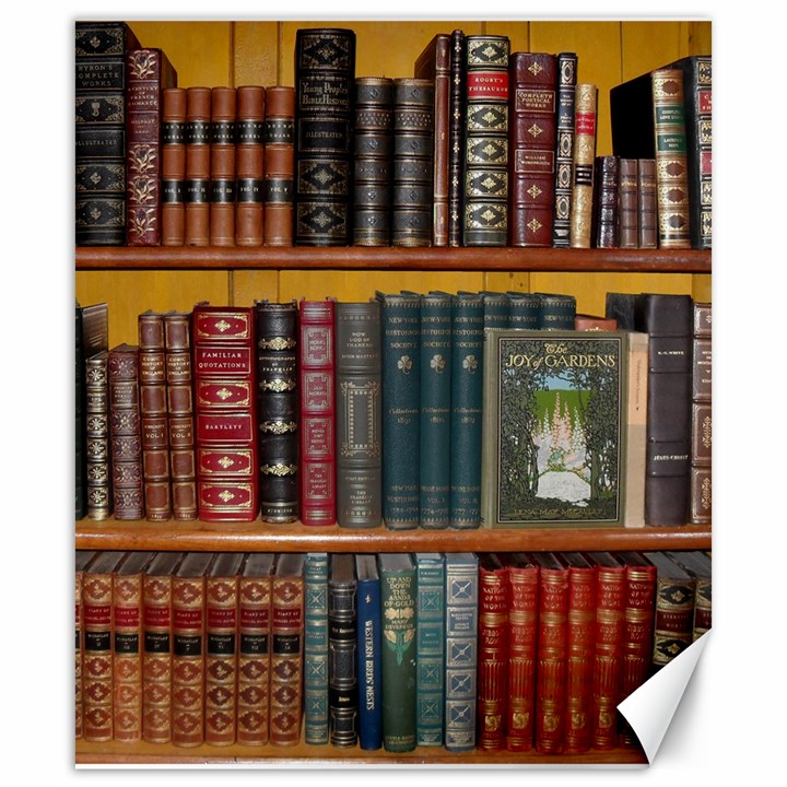 Books Library Bookshelf Bookshop Canvas 20  x 24 