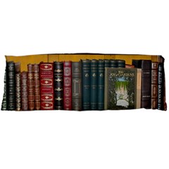 Books Library Bookshelf Bookshop Body Pillow Case Dakimakura (two Sides) by Nexatart