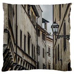 Houses At Historic Center Of Florence, Italy Large Cushion Case (two Sides) by dflcprintsclothing