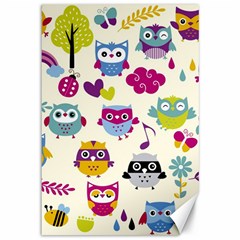 Funny Colorful Owls Canvas 12  X 18 