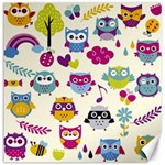 Funny Colorful Owls Canvas 16  x 16  15.2 x15.41  Canvas - 1