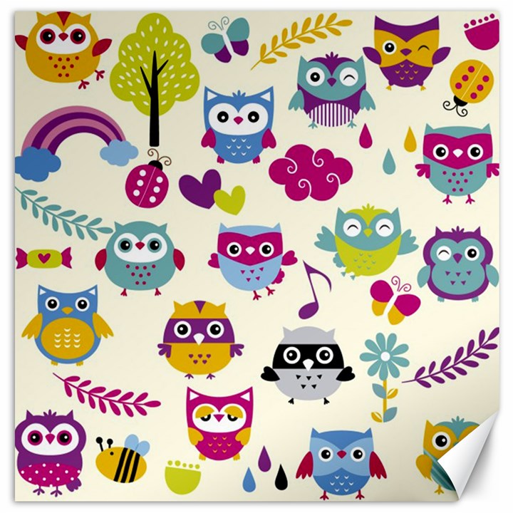 Funny Colorful Owls Canvas 16  x 16 