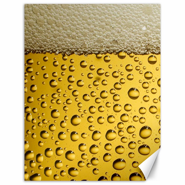 Beer Bubbles Canvas 12  x 16 