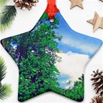 The Deep Blue Sky Ornament (Star) Front