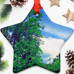 The Deep Blue Sky Star Ornament (two Sides) by Fractalsandkaleidoscopes