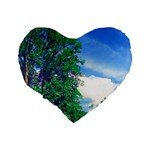 The Deep Blue Sky Standard 16  Premium Heart Shape Cushions Back