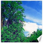 The Deep Blue Sky Canvas 16  x 16  15.2 x15.41  Canvas - 1