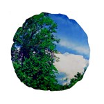 The Deep Blue Sky Standard 15  Premium Round Cushions Front