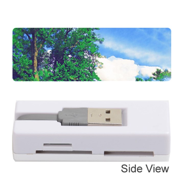 The Deep Blue Sky Memory Card Reader (Stick)