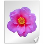 Beauty Violet Flower Photo Print Canvas 16  x 20  15.75 x19.29  Canvas - 1