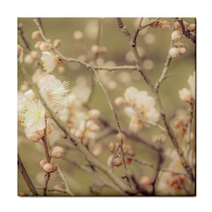 Sakura Flowers, Imperial Palace Park, Tokyo, Japan Tile Coaster by dflcprintsclothing