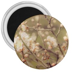 Sakura Flowers, Imperial Palace Park, Tokyo, Japan 3  Magnets by dflcprintsclothing