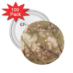 Sakura Flowers, Imperial Palace Park, Tokyo, Japan 2 25  Buttons (100 Pack)  by dflcprintsclothing