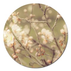 Sakura Flowers, Imperial Palace Park, Tokyo, Japan Magnet 5  (round) by dflcprintsclothing