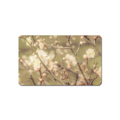 Sakura Flowers, Imperial Palace Park, Tokyo, Japan Magnet (name Card) by dflcprintsclothing