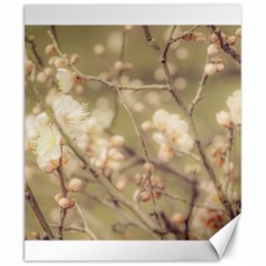 Sakura Flowers, Imperial Palace Park, Tokyo, Japan Canvas 20  X 24  by dflcprintsclothing