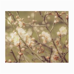 Sakura Flowers, Imperial Palace Park, Tokyo, Japan Small Glasses Cloth (2 Sides) by dflcprintsclothing