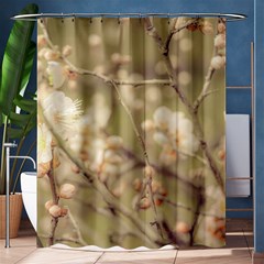 Sakura Flowers, Imperial Palace Park, Tokyo, Japan Shower Curtain 60  X 72  (medium)  by dflcprintsclothing