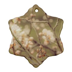 Sakura Flowers, Imperial Palace Park, Tokyo, Japan Snowflake Ornament (two Sides) by dflcprintsclothing