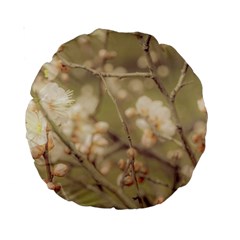 Sakura Flowers, Imperial Palace Park, Tokyo, Japan Standard 15  Premium Round Cushions by dflcprintsclothing