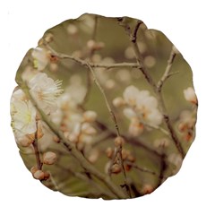 Sakura Flowers, Imperial Palace Park, Tokyo, Japan Large 18  Premium Round Cushions by dflcprintsclothing